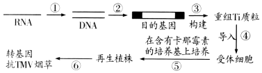 作业帮