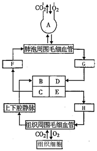 作业帮