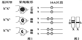 作业帮