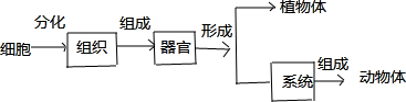 作业帮