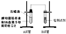 作业帮