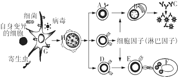 作业帮