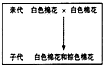 作业帮