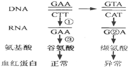 作业帮