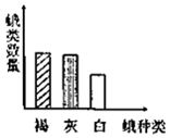 作业帮