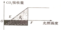 作业帮