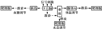 作业帮