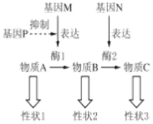 作业帮