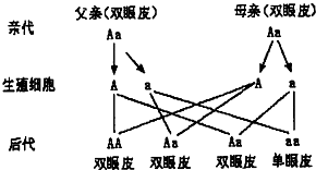 作业帮