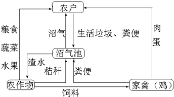 作业帮