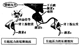 作业帮