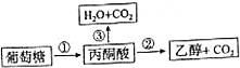 作业帮