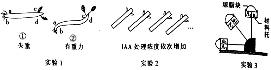 作业帮