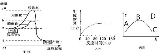 读与酶有关的曲线:回答下列问题