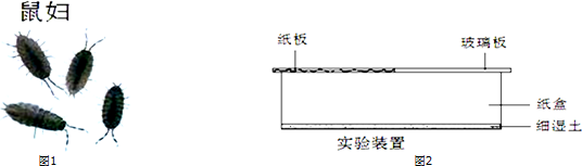 作业帮