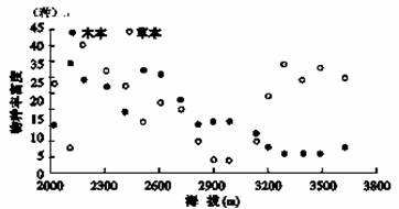 木本物种丰富度在 2900m 左右