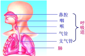 作业帮