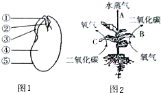 作业帮