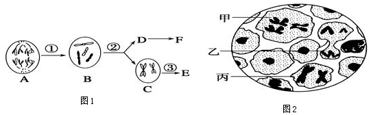 作业帮