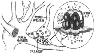 作业帮