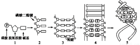 满分5 manfen5.com