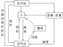 作业帮