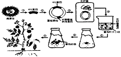 作业帮