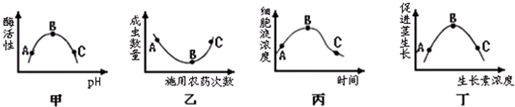 作业帮