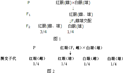 作业帮