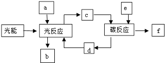 作业帮