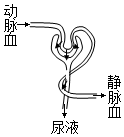 作业帮