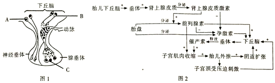 作业帮