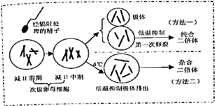 作业帮