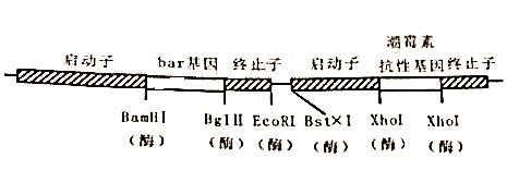 作业帮