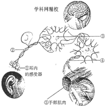 作业帮