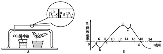 作业帮