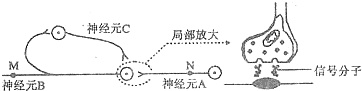 作业帮