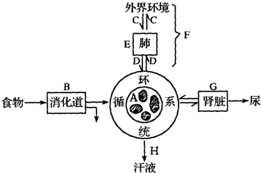 作业帮