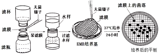 测定水样是否符合饮用水的卫生标准,常用滤膜法测定的