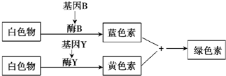 作业帮