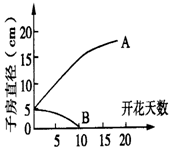 作业帮