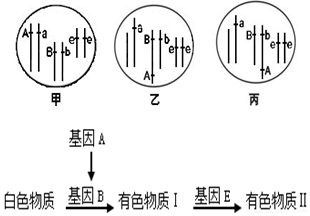 作业帮