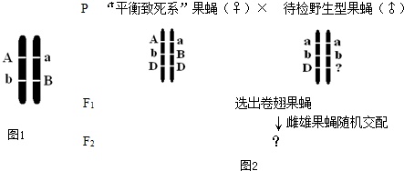 作业帮