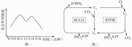 作业帮