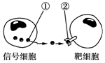 作业帮