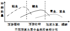 作业帮