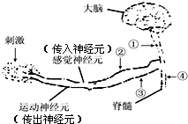 作业帮