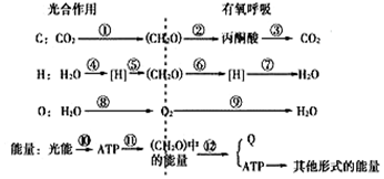 作业帮