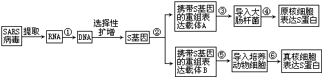 作业帮