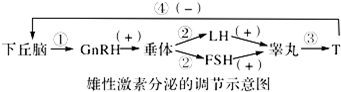 作业帮